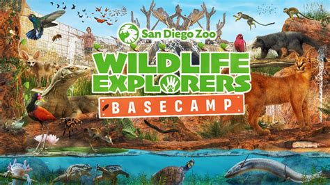 san diego zoo youtube|san diego zoo animal videos.